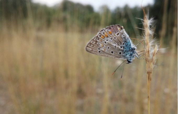 Neque porro quisquam est, qui dolorem ipsum