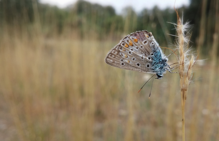 Neque porro quisquam est, qui dolorem ipsum